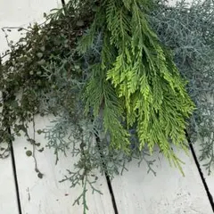 ブルーアイスとコニファー　ワイヤープランツのグリーンセット