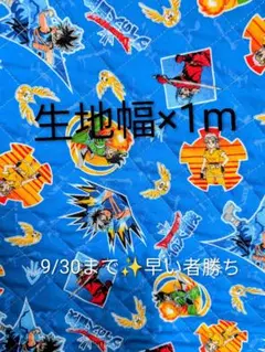 ダイの大冒険キルティング生地 1m　⑤