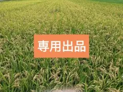 専用出品です 他の方はご遠慮ください