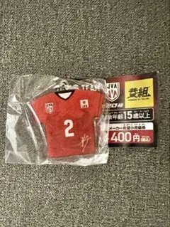 男子バレーボール　小野寺大志　ガチャガチャ　 めじるしチャーム