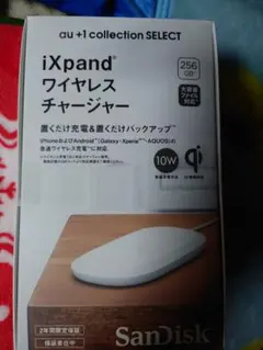 2025年最新】sdiz90n-256gの人気アイテム - メルカリ