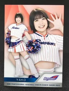 YAKO ヤクルト Passion BBM2025 チアリーダーカード
