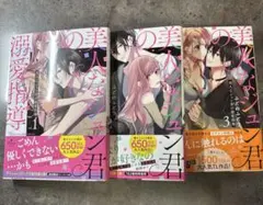 美人なジュン君の溺愛指導 3