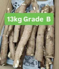 徳之島産キャッサバ生芋60キロ入りBeljuncocmim キャッサバ生芋20キロ 徳之島産キャッサバ生芋60キロ入りBeljuncocmim