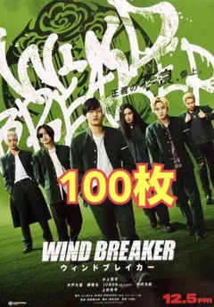 WIND BREAKER ウィンドブレイカー　フライヤー 100枚