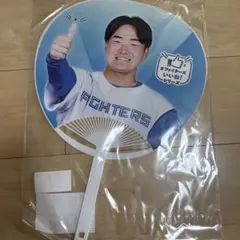 山縣秀 いいねシリーズ うちわ