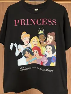 ディズニー　プリンセス 半袖 Tシャツ 160 レディース　Disney