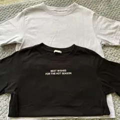 コットンTシャツ 140cm 黒 ラベンダー 2枚セット