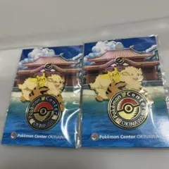 ポケモンセンター沖縄 ピンバッジ ピカチュウ ウィンディ2個セット
