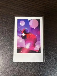 いれいす 実写チェキ　りうらのサムネイル
