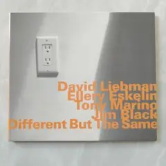 デイヴ·リーブマン「DIFFERENT BUT THE SAME」