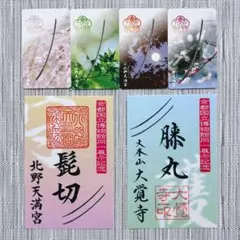 万年筆 インク まとめ売り 紙モノ スキカッテ 5種セット - メルカリ