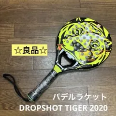 値下げ！パドルテニス（PADDEXシリーズ ）ワンセット※ラケット2本