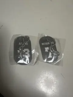 富山グラウジーズ　宮本一樹　マシューアキノ　ドッグタグキーホルダー