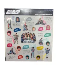 B&ZAI ステッカーセット
