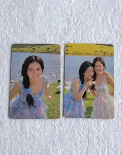 BLACKPINK ジス JISOO トレカ 韓国限定 2枚セット No.110