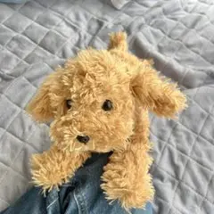トイプードル ひざわんこ ベージュ ぬいぐるみ サンレモンのサムネイル