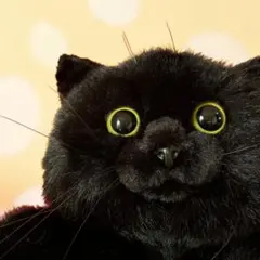 希少 80年代 ビンテージ 日本製 童心 黒猫 ぬいぐるみ レトロ 昭和 当時物 希少 80年代 ビンテージ 日本製 童心 黒猫 ぬいぐるみ レトロ 昭和