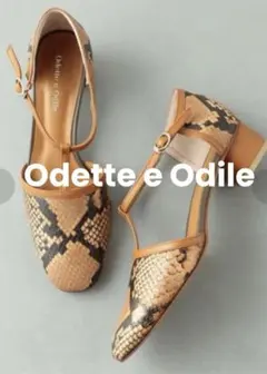 新品《Odette e Odile》Python Pumps