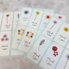 【24枚】サンキューシール　手書き　押し花風　華やか　鮮やか