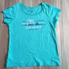 patagonia 半袖Tシャツ S ターコイズ