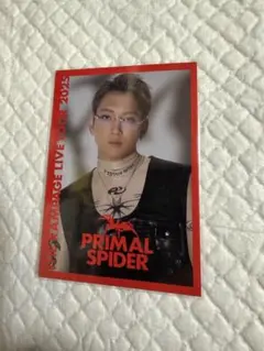 THE RAMPAGE LIVE TOUR 2025 PRIMAL SPIDER