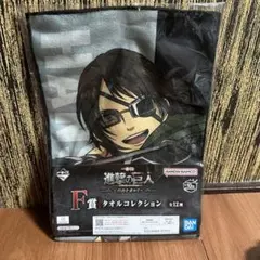 進撃の巨人 ハンジ・ゾエ