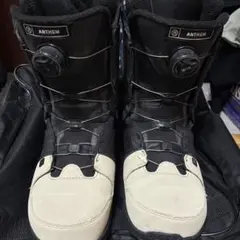 Item thumbnail for item 61d0f2a0-04cd-43d7-8b2f-9d12bcde5d3a