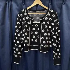 Item thumbnail for item 89a89953-c0dc-495f-a904-814d47f15bf8