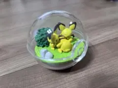ポケモン テラリウムコレクション ピチュー