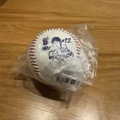 横浜DeNAベイスターズ 2025ルーキー 竹田祐 ロゴボール