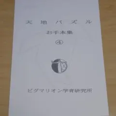 夜様 リクエスト 2点 まとめ商品