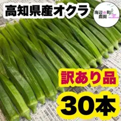 【訳あり】B品 30本 新鮮おくら 産地直送 野菜 Tのサムネイル