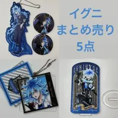 ツイステ イグニハイド イデア オルト グッズセット 6点 - メルカリ