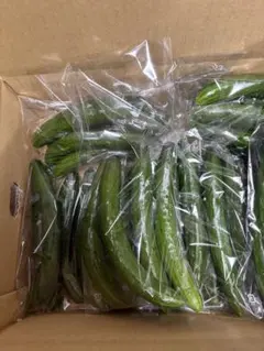 熊本県産きゅうり 袋入り 10袋 B級品