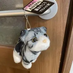 REAL ANIMAL 猫おりこう マスコットBC