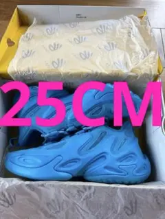 Under Armour Curry13 カリー13のサムネイル