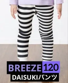 ブリーズ　ダイスキパンツ　レギンス　ボーダー