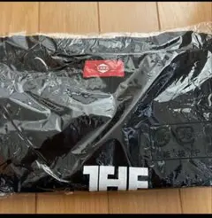 Item thumbnail for item d47c7006-366a-4734-884a-661a227a2127