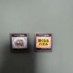 ニンテンドーDSソフト 2本セット　知育系