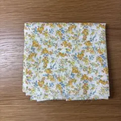 リバティ　ムーンモス　イエロー系