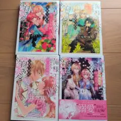 俺様王子太子に拾われた崖っぷち令嬢、お飾り側妃になる…はずが溺愛されてます！？
