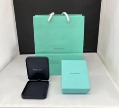 TIFFANY & Co ティファニー 純正BOX 紙袋 空箱 保存用３点セット