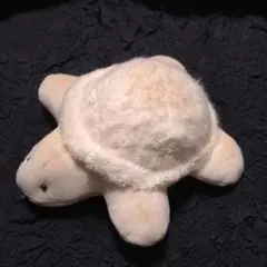 おにんぎょう村　かめろんパン