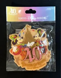 レア ディズニー40周年 マグネット ディズニーランド TDRのサムネイル