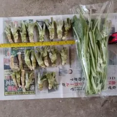 ②大特価　規格外生わさび＆不揃い茎のサムネイル
