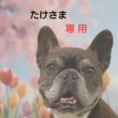 たけさま　専用ページ