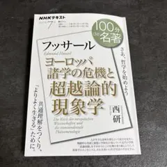 フッサール『ヨーロッパ諸学の危機と超越論的現象学』7月