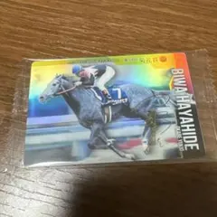 けんぼー様 リクエスト 2点 まとめ商品