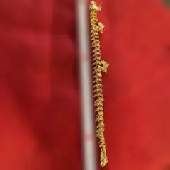 Item thumbnail for item 530b038c-f9cb-4aaa-b511-40b40b0dc09e